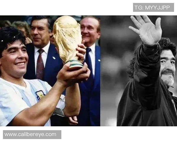 百位足球明星的传奇故事与辉煌瞬间全景回顾