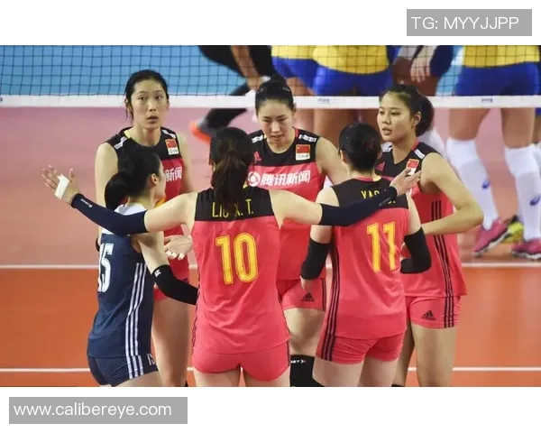 南京排球队的实力分析与发展潜力探讨