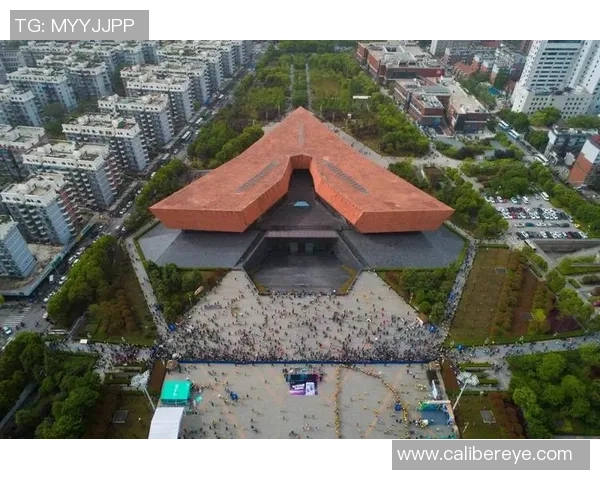武汉乒乓球队的节奏与风采探秘:从训练到比赛的全景展现