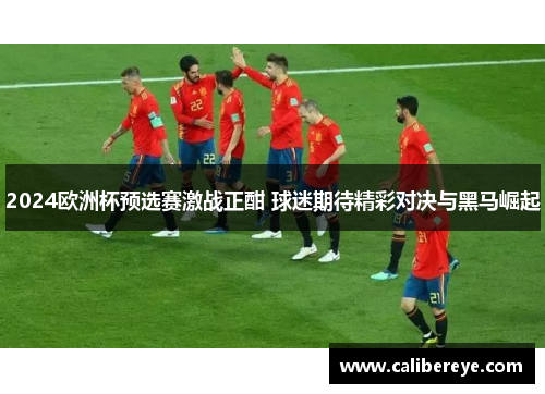 2024欧洲杯预选赛激战正酣 球迷期待精彩对决与黑马崛起