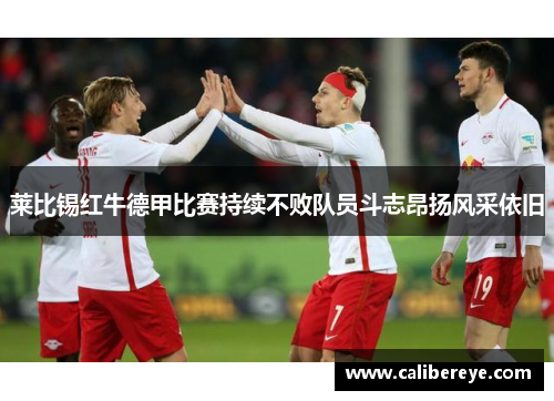 莱比锡红牛德甲比赛持续不败队员斗志昂扬风采依旧