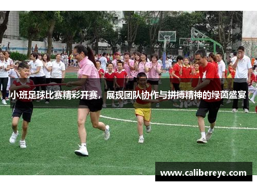 小班足球比赛精彩开赛，展现团队协作与拼搏精神的绿茵盛宴