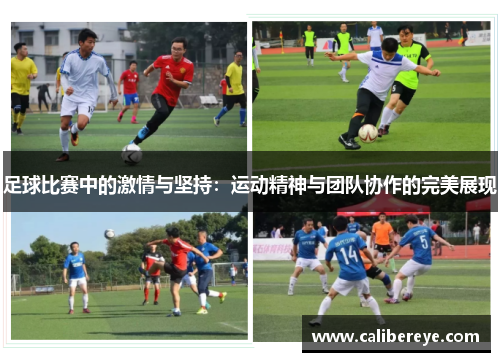 足球比赛中的激情与坚持：运动精神与团队协作的完美展现
