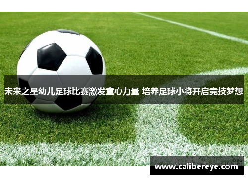 未来之星幼儿足球比赛激发童心力量 培养足球小将开启竞技梦想