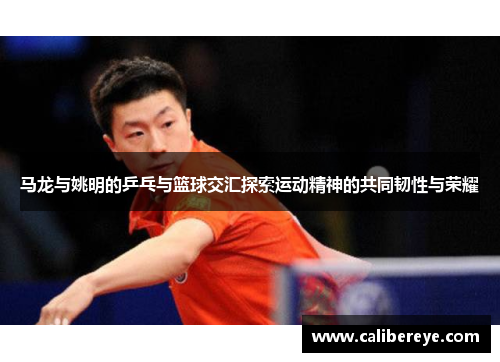 马龙与姚明的乒乓与篮球交汇探索运动精神的共同韧性与荣耀