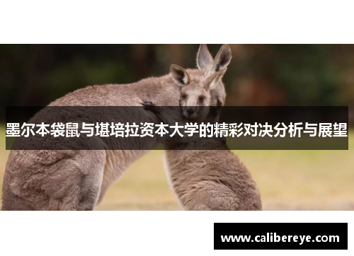墨尔本袋鼠与堪培拉资本大学的精彩对决分析与展望