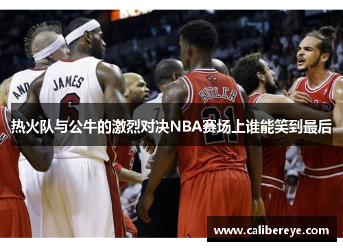 热火队与公牛的激烈对决NBA赛场上谁能笑到最后