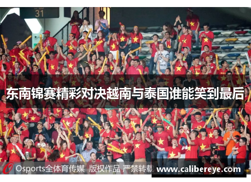 东南锦赛精彩对决越南与泰国谁能笑到最后